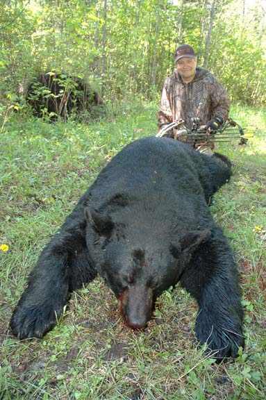 Cecil's 20 13/16" bear